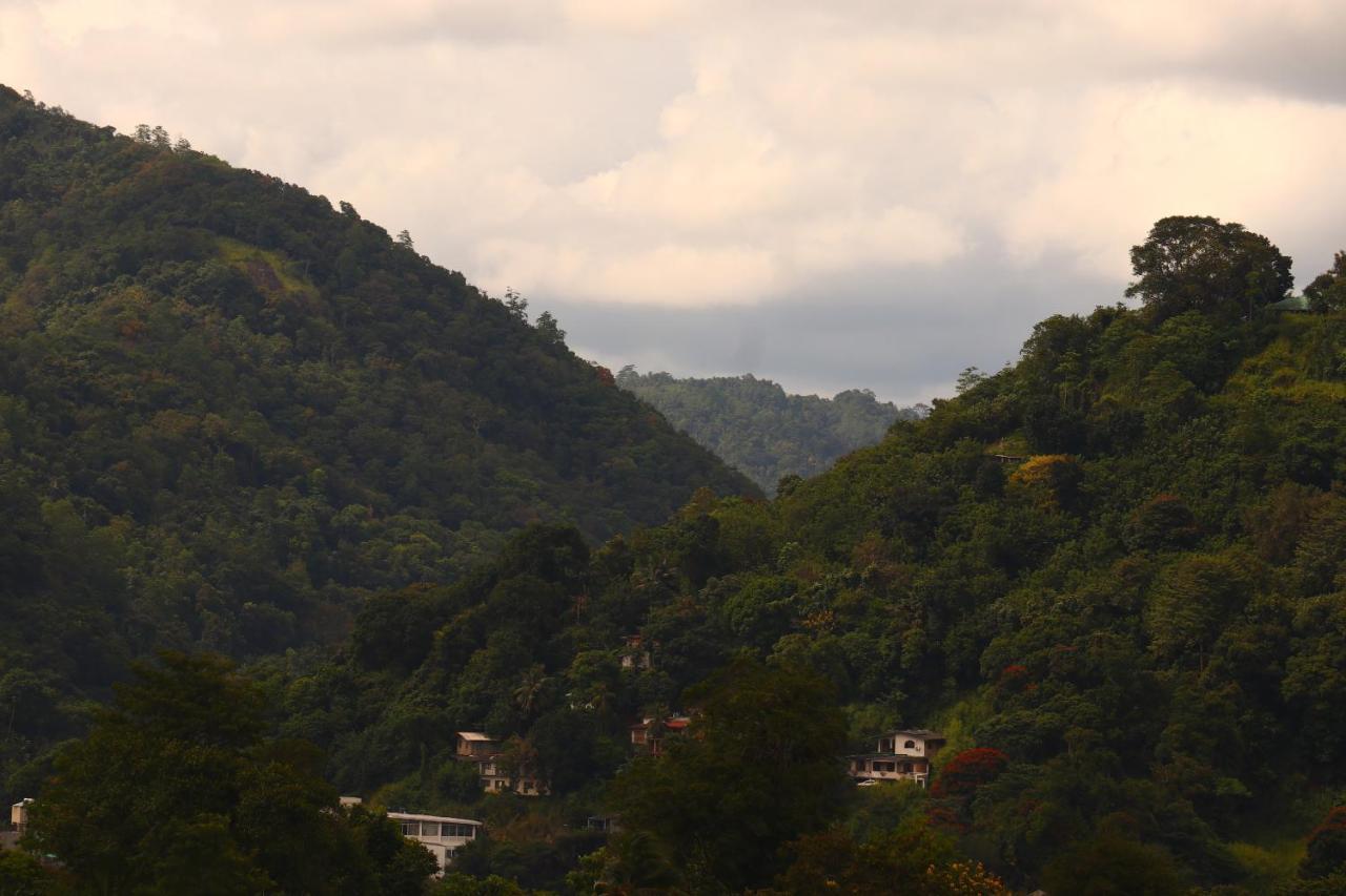 Sky Edge Homestay Kandy Kültér fotó